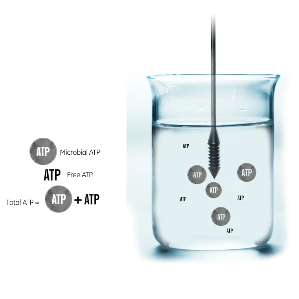 Aqausnap Dipper.webp
