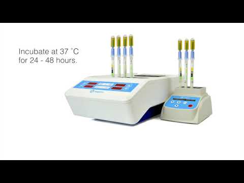 InSite® L. mono Glo - Environmental Listeria Swab Test with L. mono Detection