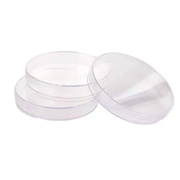 petri-dish-2.webp