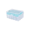 P10116.webp